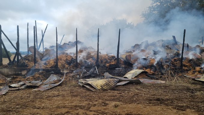 Estiman en más de $500 millones de pesos las pérdidas tras ataque incendiario en fundo de La Unión