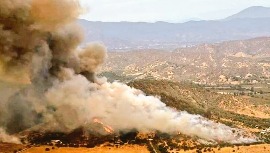 Declaran Alerta Roja para Casablanca por incendio forestal que presenta cercanía a sectores habitados