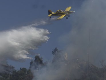 35 hectáreas ha consumido el incendio forestal en Casablanca: siniestro se encuentra contenido y sin avance