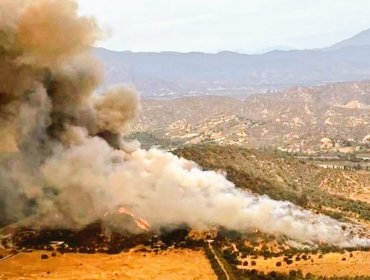 Declaran Alerta Roja para Casablanca por incendio forestal que presenta cercanía a sectores habitados