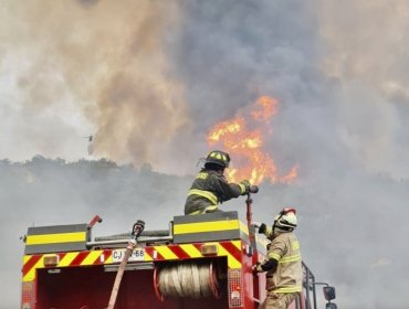 Sin avance y con intensidad media se mantiene el combate del incendio forestal que tiene con Alerta Roja a Casablanca