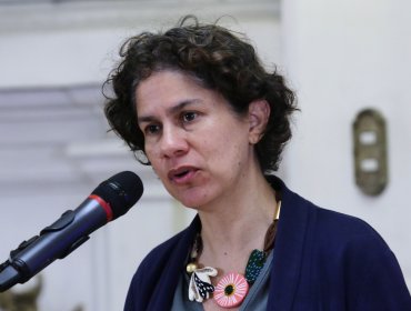 Maisa Rojas aclara que "en ningún caso" el Ministerio de Medio Ambiente anunció una modificación al impuesto a los combustibles