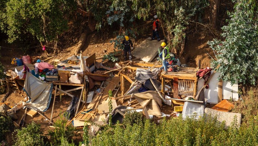 Despejan terreno tomado donde ocupantes se preparaban para construir viviendas en la parte alta de Viña