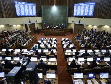 Cámara de Diputados aprobó nueva prórroga del Estado de Excepción en la Macrozona Sur