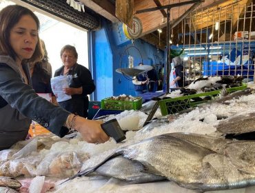 Fiscalizaciones por Semana Santa en la región de Valparaíso: se decomisaron 15 kg de productos del mar en mal estado
