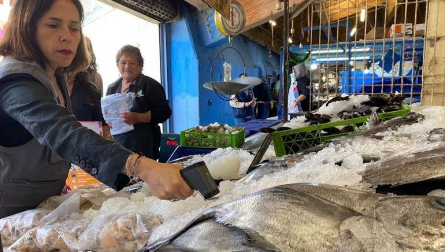 Fiscalizaciones por Semana Santa en la región de Valparaíso: se decomisaron 15 kg de productos del mar en mal estado