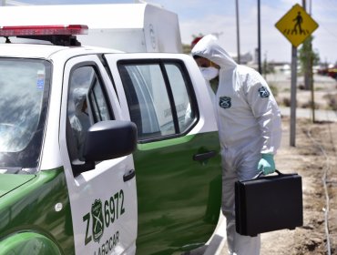 Momentos de terror vivió trabajador de empresa en Casablanca: delincuentes lo encañonaron para robar un camión