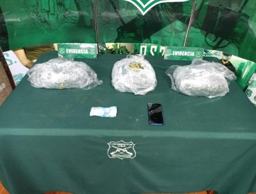 Pasajero de bus fue sorprendido con más de 6 mil dosis de marihuana a la altura de Nogales