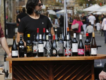 Vendimia Fest reúne a más de 40 viñas en el Barrio Italia de Providencia