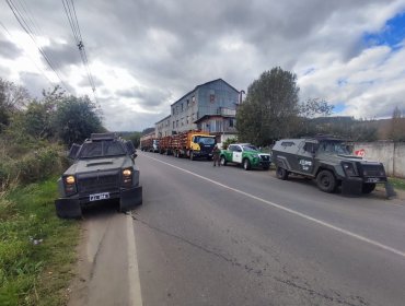 Dos detenidos y cuatro camiones incautados dejó operativo por robo de madera en Carahue