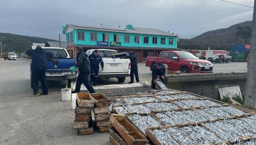 Sernapesca anuncia acciones legales por agresiones a funcionarios y obstaculización a fiscalización en la Caleta Llico de Arauco