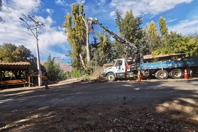 Refuerzan podas en las provincias de Valparaíso y Petorca en la previa al invierno