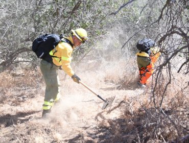 Capacitan a 324 pequeños agricultores de la región de Valparaíso en prevención de incendios forestales