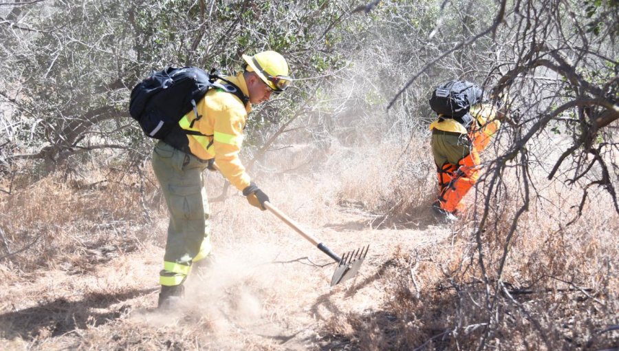 Capacitan a 324 pequeños agricultores de la región de Valparaíso en prevención de incendios forestales