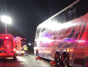 Hombre muere atropellado por un bus interprovincial en la ruta Valdivia - Paillaco
