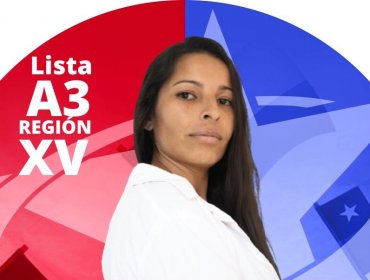 Candidata del PDG al Consejo por la región de Arica renuncia a su postulación tras revelarse condena por tráfico de drogas