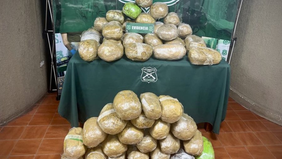 Dos venezolanos fueron detenidos tras ser sorprendidos transportando 52 kilos de marihuana en bus controlado en Nogales