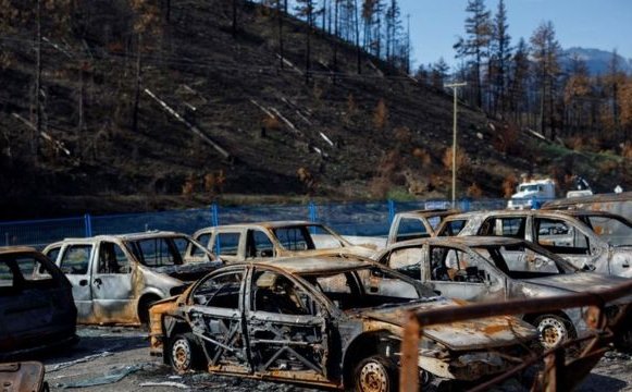 El fenómeno de las olas de calor "estadísticamente imposibles" y qué regiones están en riesgo de padecerlas