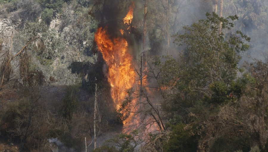 Alerta Temprana Preventiva para las provincias de Valparaíso y Marga Marga por amenaza de incendios forestales