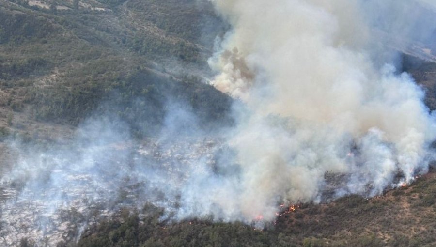 Declaran Alerta Amarilla por incendio forestal que presenta "comportamiento extremo y rápido avance" en Casablanca