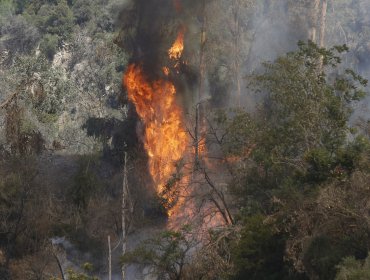 Alerta Temprana Preventiva para las provincias de Valparaíso y Marga Marga por amenaza de incendios forestales