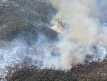 Declaran Alerta Amarilla por incendio forestal que presenta "comportamiento extremo y rápido avance" en Casablanca