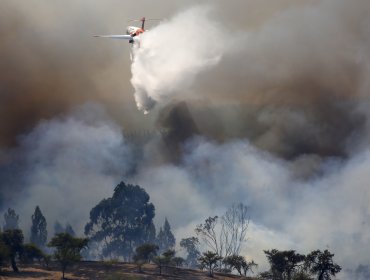 Gobierno ha entregado más de $16 mil millones en bonos por incendios forestales