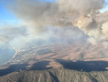 Decretan Alerta Roja para Zapallar y Papudo por incendio forestal cercano a sectores habitados e infraestructura crítica