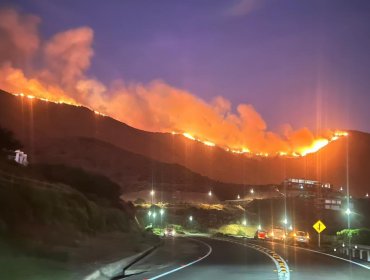 120 hectáreas ha consumido el incendio forestal en Zapallar y Papudo: Se mantiene activo en todos sus sectores