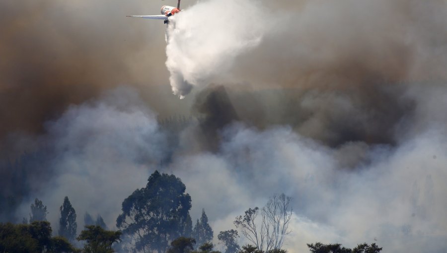 Gobierno ha entregado más de $16 mil millones en bonos por incendios forestales