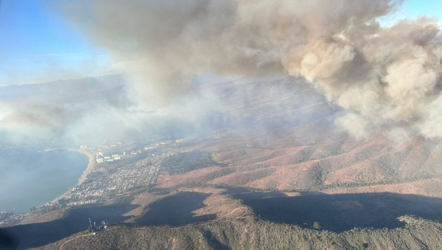 Decretan Alerta Roja para Zapallar y Papudo por incendio forestal cercano a sectores habitados e infraestructura crítica