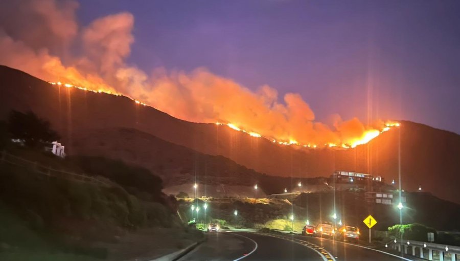 120 hectáreas ha consumido el incendio forestal en Zapallar y Papudo: Se mantiene activo en todos sus sectores