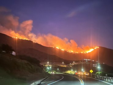 Incendio en Papudo y Zapallar: Fuego avanzó toda la noche y ya lleva consumida 350 hectáreas