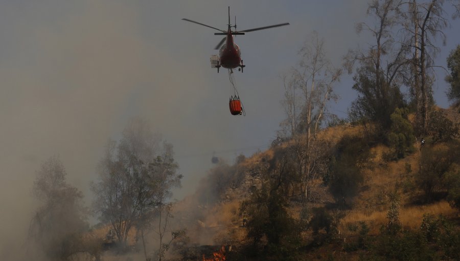 Sigue activo incendio forestal de Papudo y Zapallar: hay "puntos calientes en el borde del perímetro"