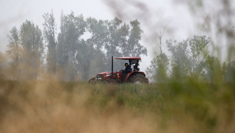 Tragedia en Collipulli: Padre e hijo mueren al caer a una quebrada en tractor