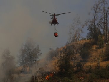 Sigue activo incendio forestal de Papudo y Zapallar: hay "puntos calientes en el borde del perímetro"