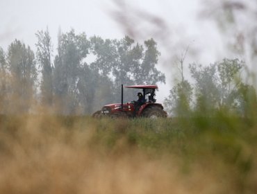 Tragedia en Collipulli: Padre e hijo mueren al caer a una quebrada en tractor