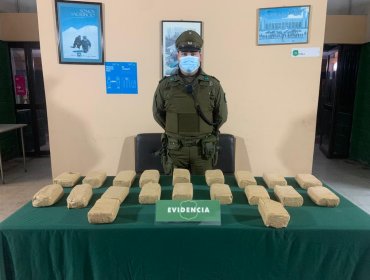 Sacan de circulación 20 paquetes con pasta base de cocaína en control carretero en Nogales