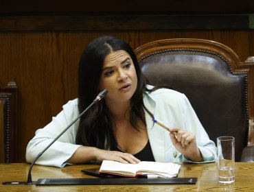 Ministra de la Mujer por dichos de Milad: "Tratar de ’caramelo’ a la pensión de alimentos no me parece"