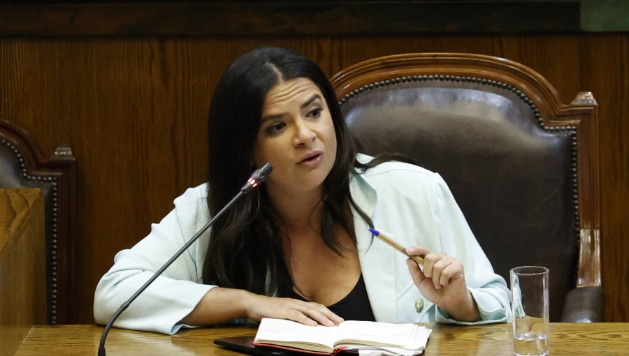 Ministra de la Mujer por dichos de Milad: "Tratar de ’caramelo’ a la pensión de alimentos no me parece"