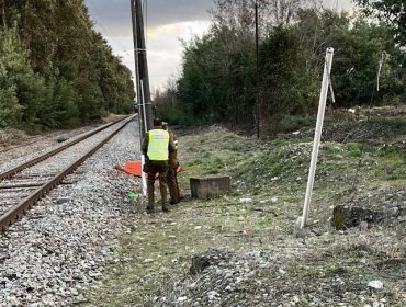 Un hombre murió tras ser atropellado por un tren en la comuna de San Nicolás