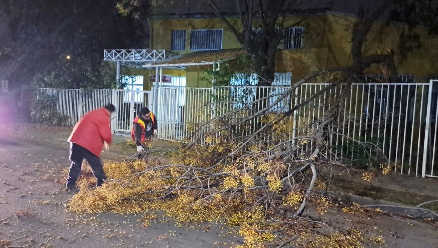 Fuertes ráfagas de viento generan cortes de suministro eléctrico y caída de árboles en comunas de la región Metropolitana