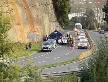 Macabro hallazgo en la ruta 150: Encuentran la parte superior del cuerpo de una mujer en sector de Alto Lirquén