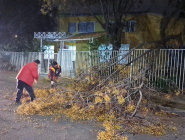Fuertes ráfagas de viento generan cortes de suministro eléctrico y caída de árboles en comunas de la región Metropolitana