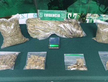 Sacan de circulación más de 3.500 dosis de droga tras allanamiento en domicilio de Placilla en Valparaíso
