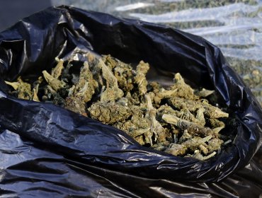 Dos personas fueron detenidas tras ser sorprendidas transportando 8 kilos de marihuana a la altura de Perquenco