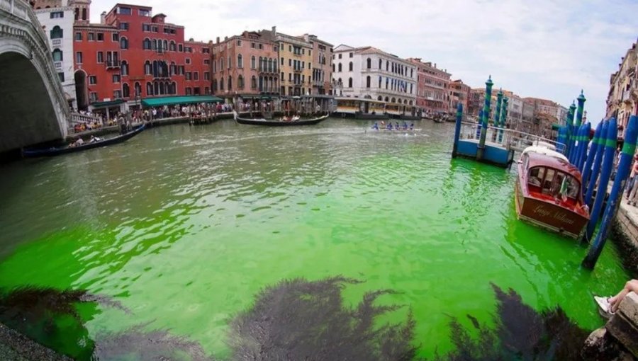 Descubren por qué las aguas se tornaron verde fosforescente en un tramo de los canales de Venecia