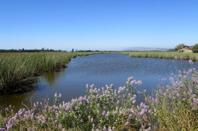 Senadora Allende por proyecto de ley que crea el Servicio de Biodiversidad y Áreas Protegidas: "Chile lo necesita a la brevedad"