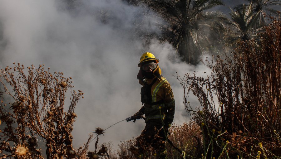 Informe de Conaf reveló intencionalidad en un tercio de los incendios forestales