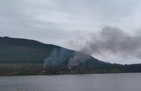 Al menos cuatro inmuebles destruidos deja ataque incendiario en ribera de lago Lanalhue